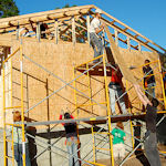 habitat project 3
