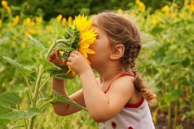 Benefits of Nature for Children and Families | Roots Action